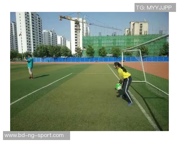 足球小说叶中的梦想与奋斗在绿茵场上绽放的青春故事